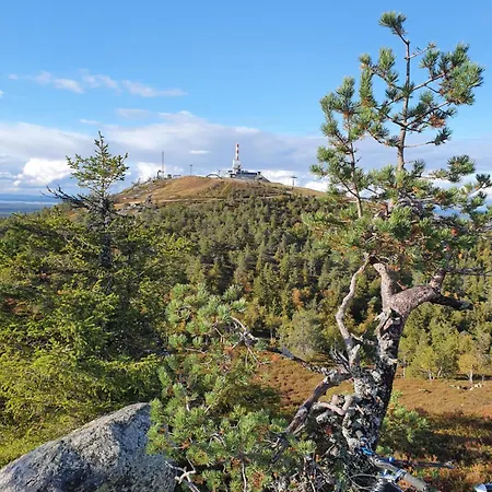 Park Base Camp * Ruka