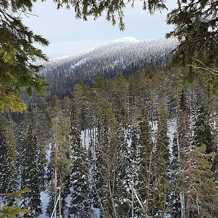 Park Base Camp * Rukatunturi