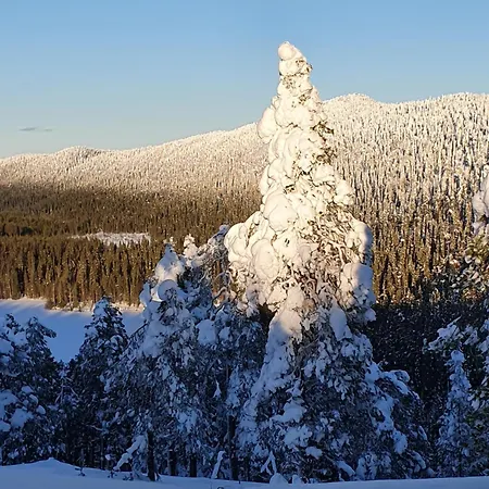 Lejlighed Park Base Camp