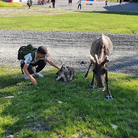 Park Base Camp 鲁卡