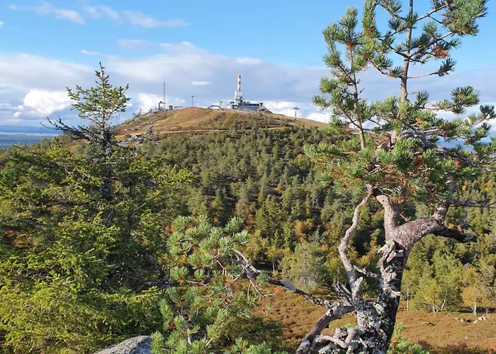 Park Base Camp * Ruka