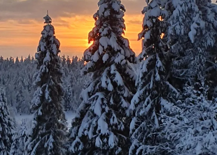 Park Base Camp شقة