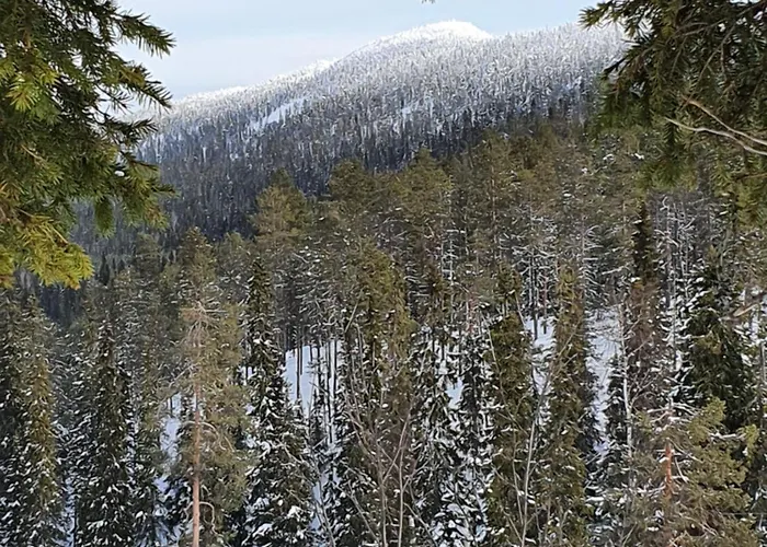 Park Base Camp * Ruka