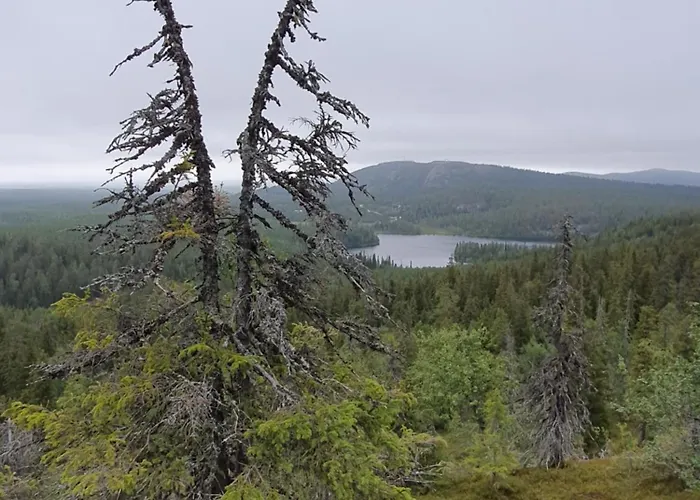 Διαμέρισμα Park Base Camp *