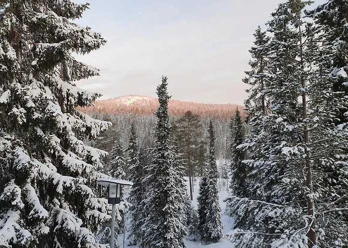 Park Base Camp Διαμέρισμα Ruka